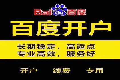 专业SEM账户托管成功案例分享