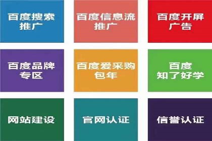 抖音信息流代理在电商行业的应用案例分析