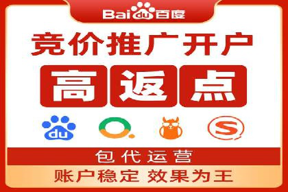 知名SEM服务公司成功案例分享